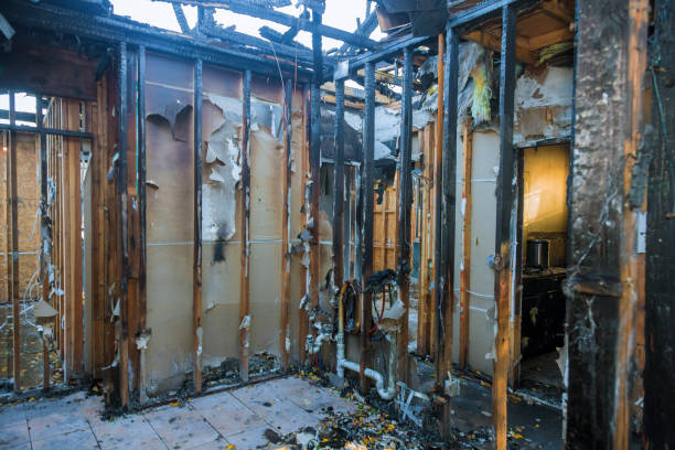 Professional Fire Damage Removal technician working in Toledo, IA